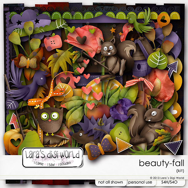 larasdigiworld_beauty-fall1