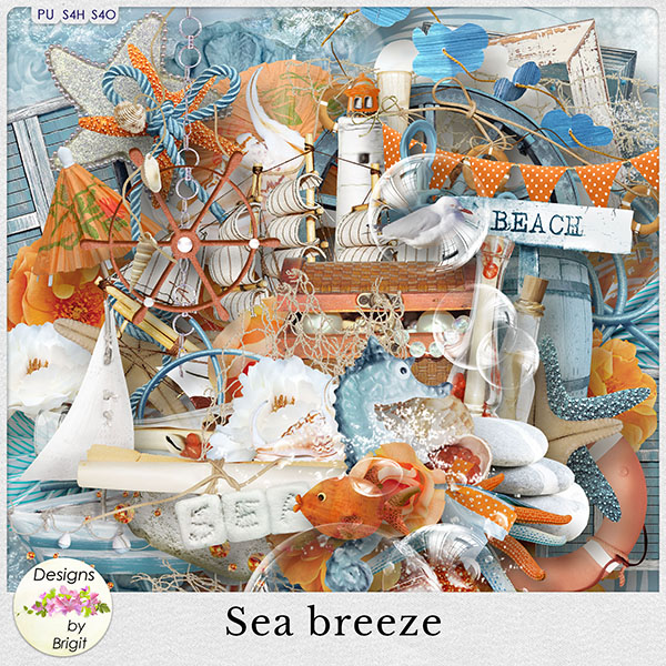 DBB_seabreeze_prev