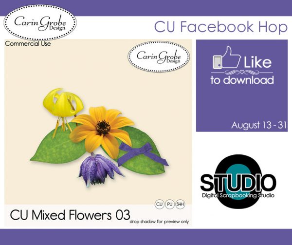 CU Facebook Hop