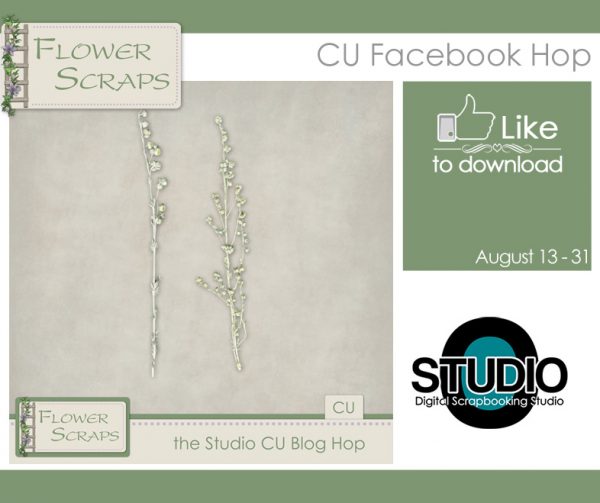 CU Facebook Hop