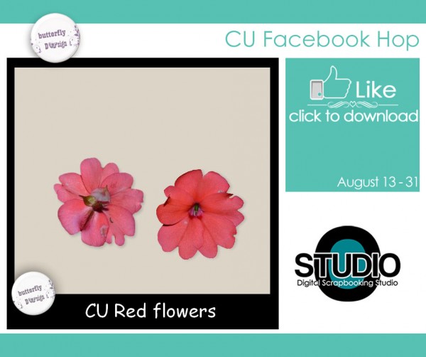 theStudio Advertisements