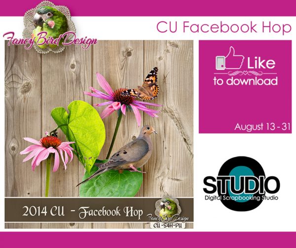 CU Facebook Hop