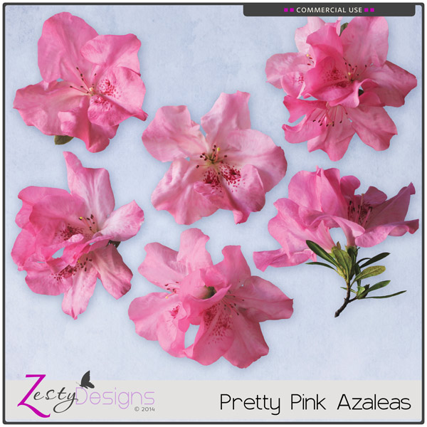 eb_CU_PrettyPinkAzaleas_preview