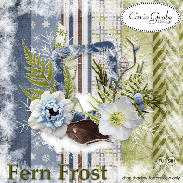 Carin Grobe: Fern Frost