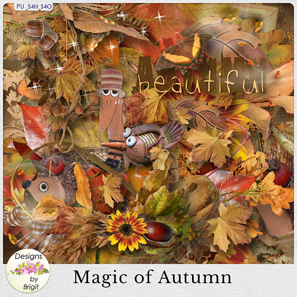 DBB_magicofautumn_pv