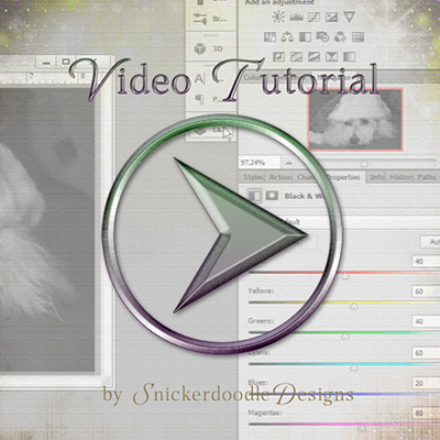 sd_black-white-video-cover