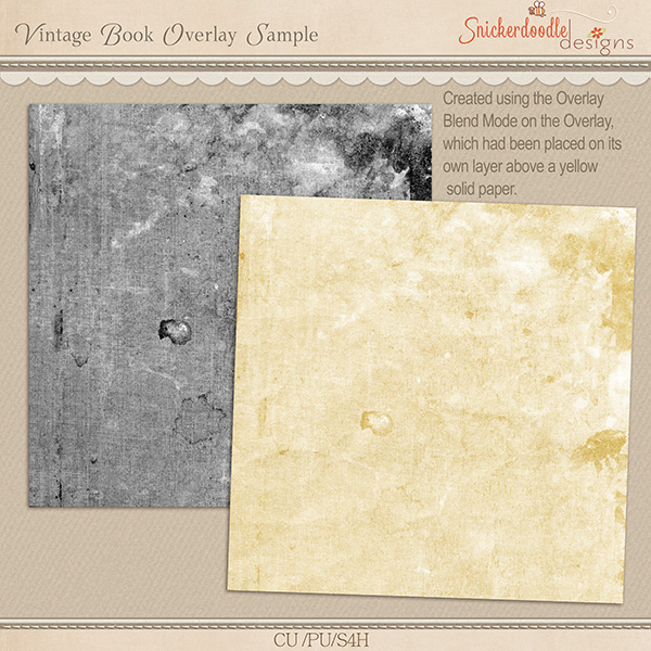 sd-vintage-book-overlay-samp-prev
