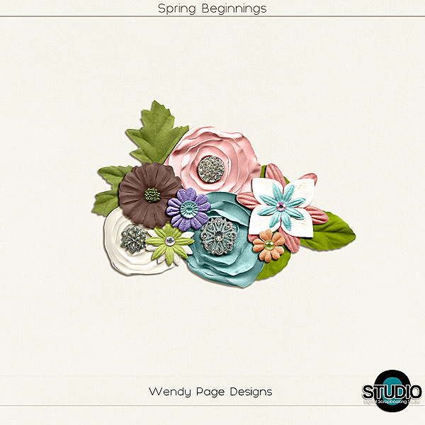 Spring Beginnings