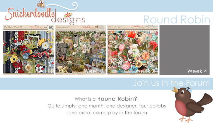 Round Robin