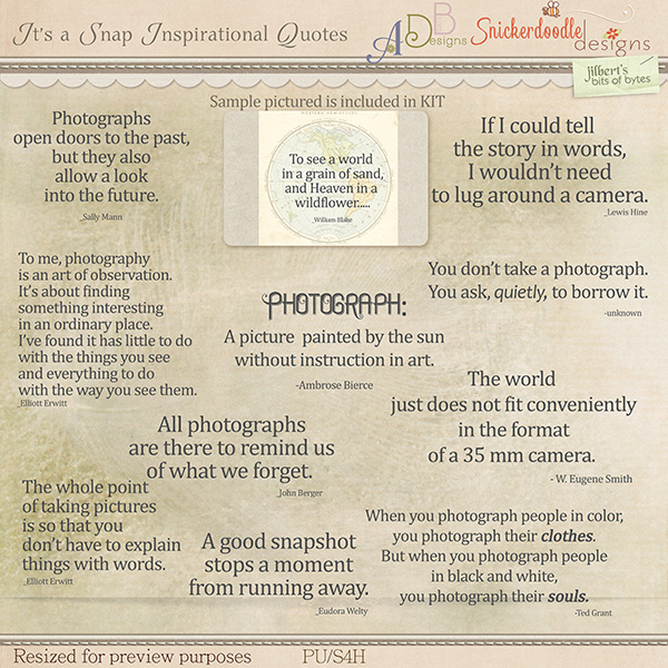 sd_adb_jilbler-itsasnap-inspiration-pv