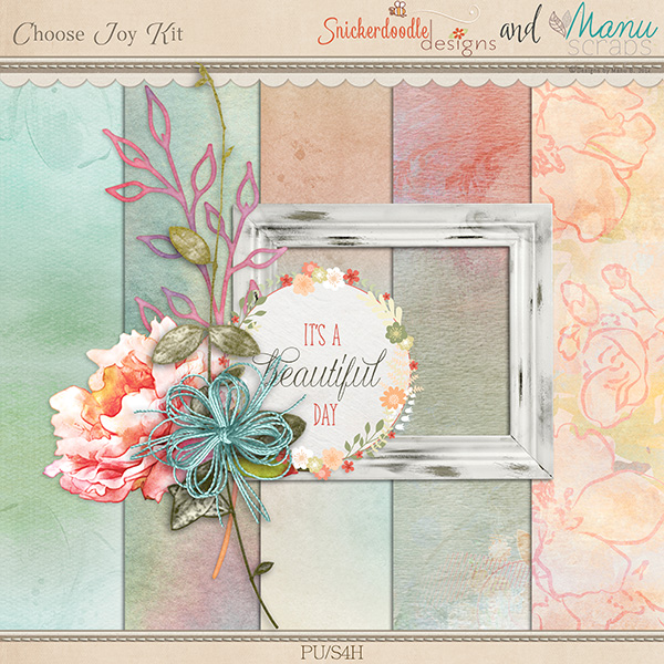 sd_manu_choosejoy-addon-prev