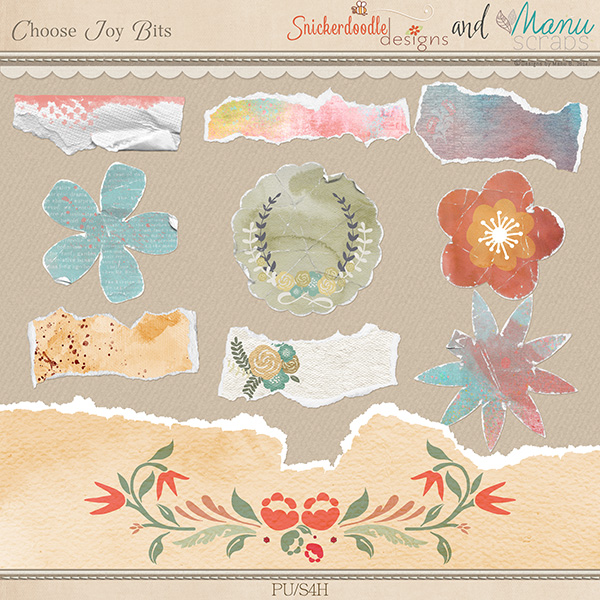 sd_manu_choosejoy-bits-prev