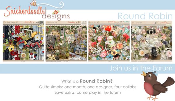 Round Robin