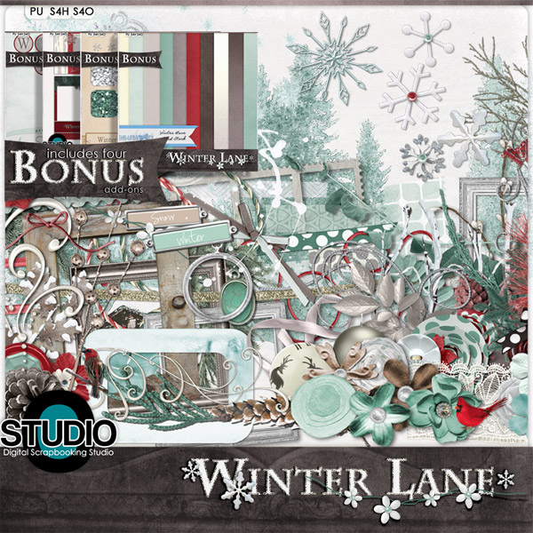 thestudio_winterlane_preview