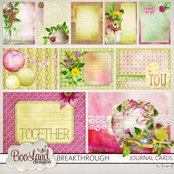 bld-breakthrough-1000-journalcards_rcqq-eb