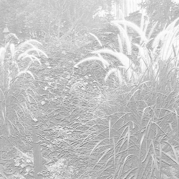 sd-overlay-2