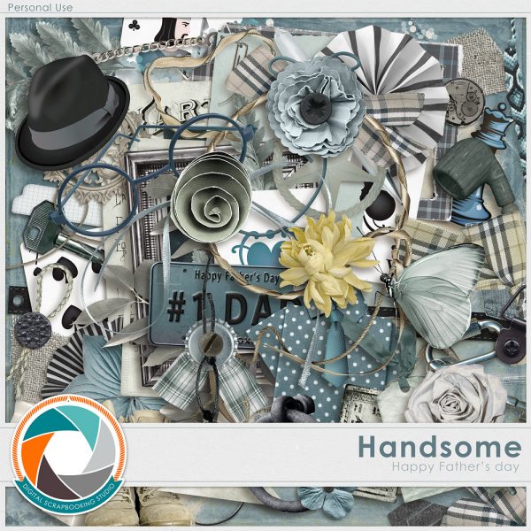 Handsome-el-pv