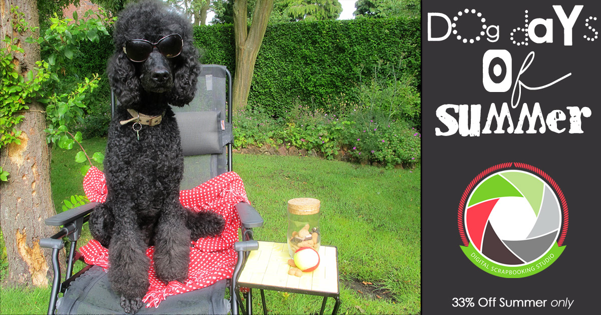 Dog-Days-of-Summer