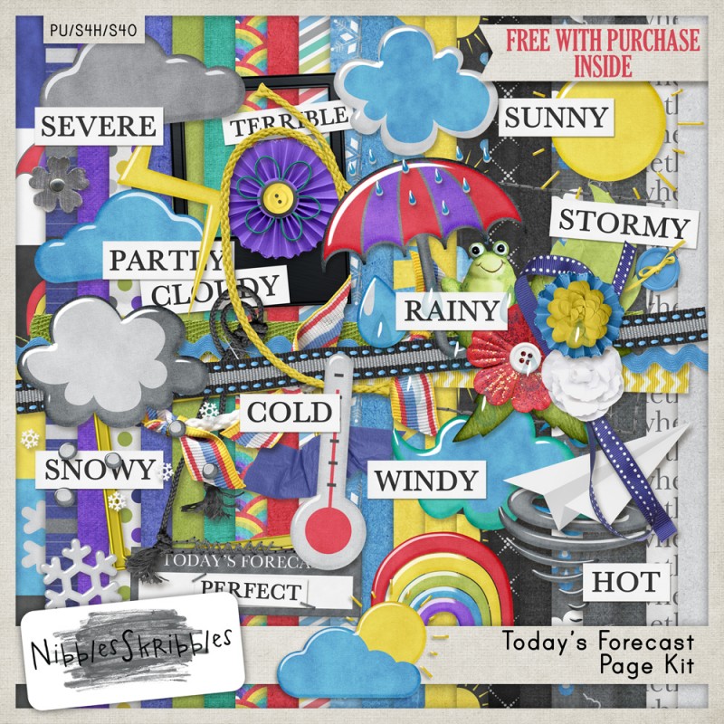 NS-TodaysForecast-Kit