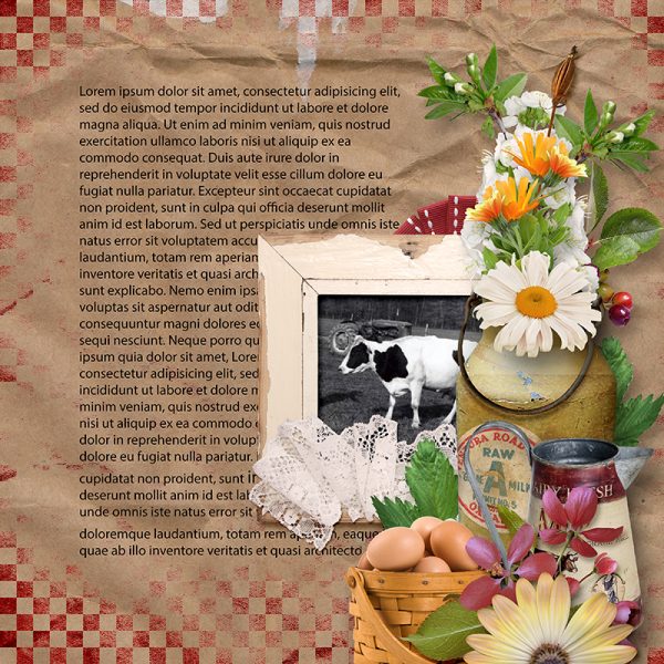 sd-lorem-ipsum-3