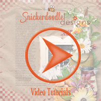sd-lorem-ipsum-video