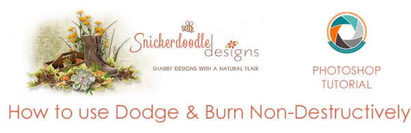 SD-DODGE-BURN-7