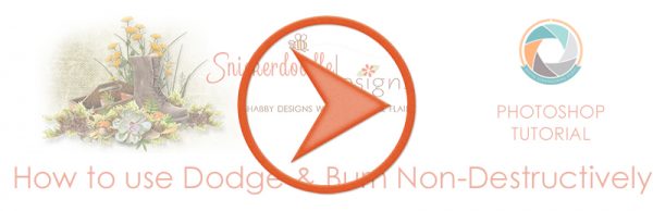 SD-DODGE-BURN-7a