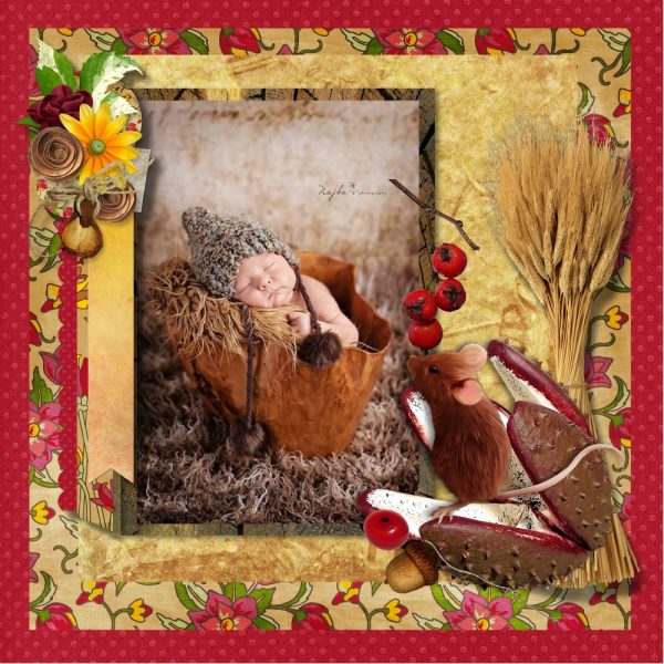 bld_little_mouse_1000_joyce_2_cfv1-7i