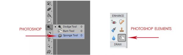 sd-sponge-1