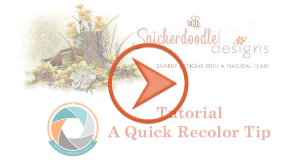 sd-video-cover