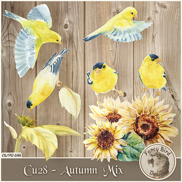 Autumn Mix 28