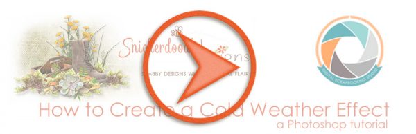 sd-cold-weather-video