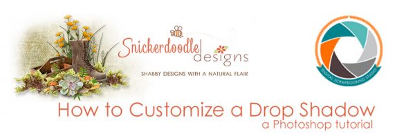 sd-how-to-customize1