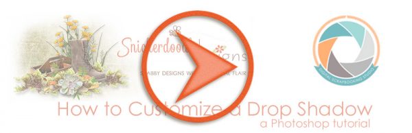 sd-how-to-customize2
