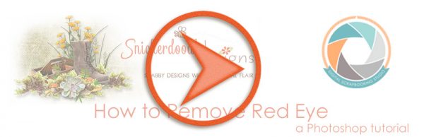 sd-red-eye-footer
