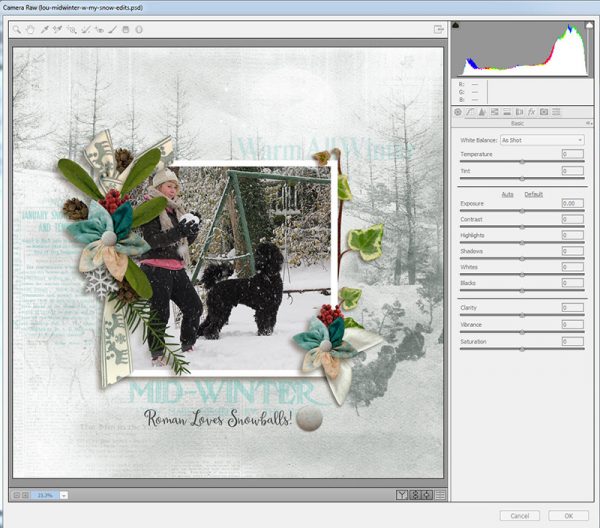 sd-snow-2