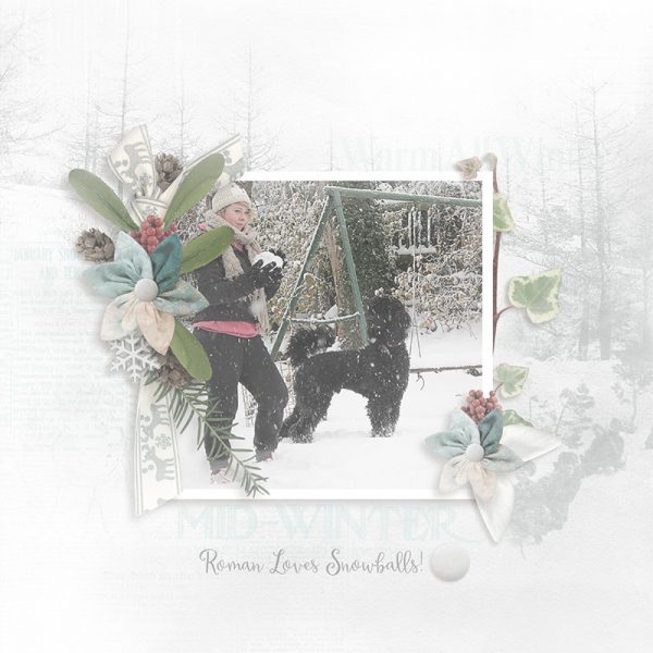 sd-snow-4