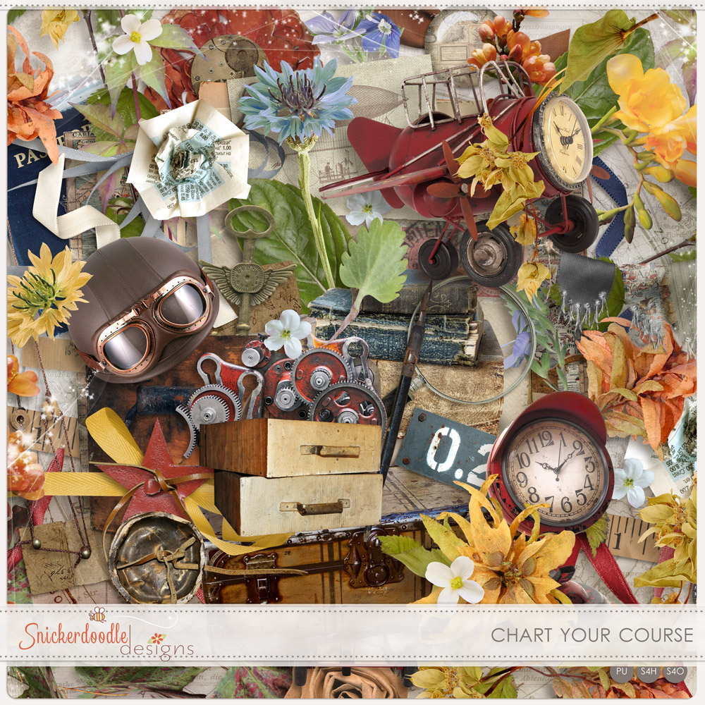 sd-chart-your-course-kit-800pv
