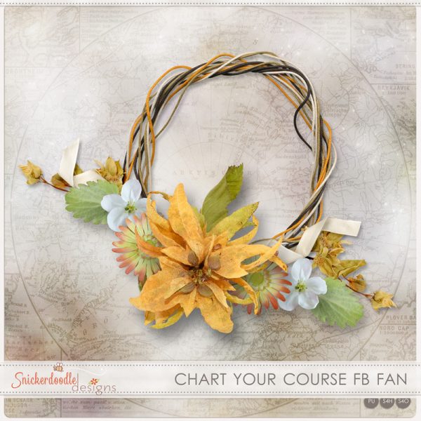 sd-chart-your-course-studio-fbfan