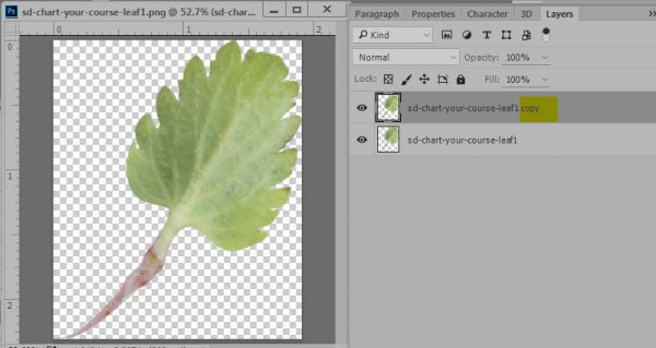 sd-duplicate-layers-2a