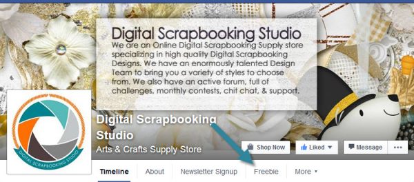 sd-duplicate-layers-4