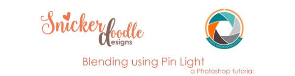 sd-pin-light-header
