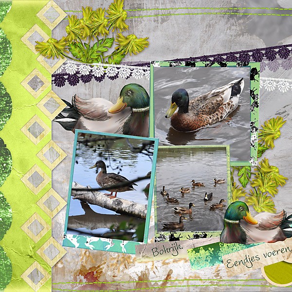 Lilly-Bokrijn-eendjes-voeren__yocz-lp