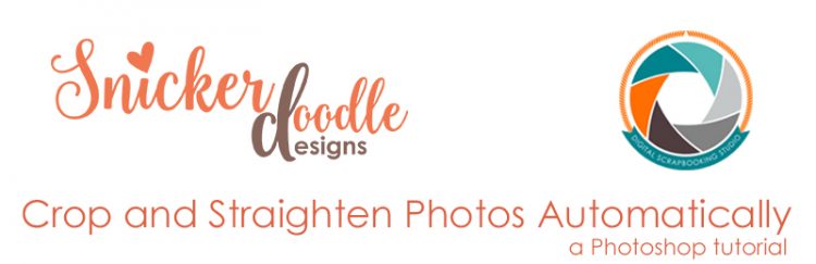 Crop and Straighten Tutorial SnickerdoodleDesigns