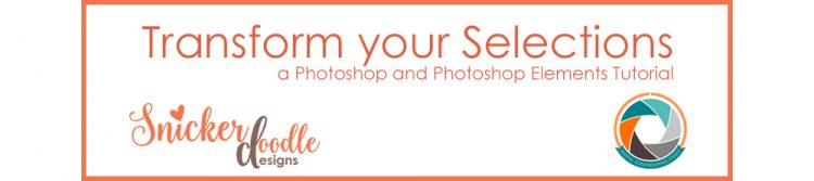 Transform your selection SnickerdoodleDesigns
