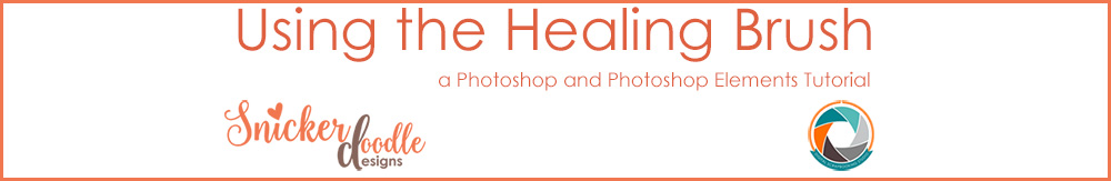 Using the Healing Brush Tutorial SnickerdoodleDesigns