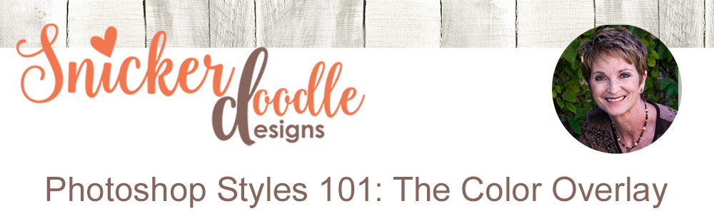 Photoshop Color Overlay Tutorial SnickerdoodleDesigns