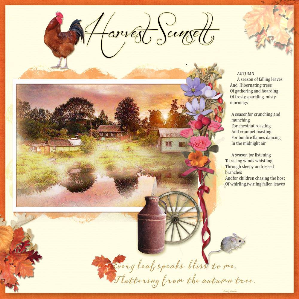 barbara-harvest-sunset