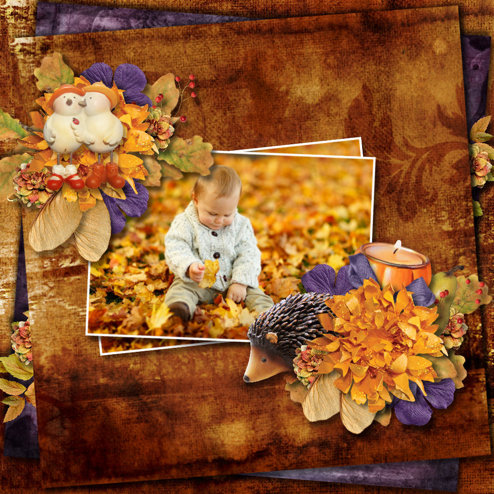 bld-harvestsunset-1000-sandra2