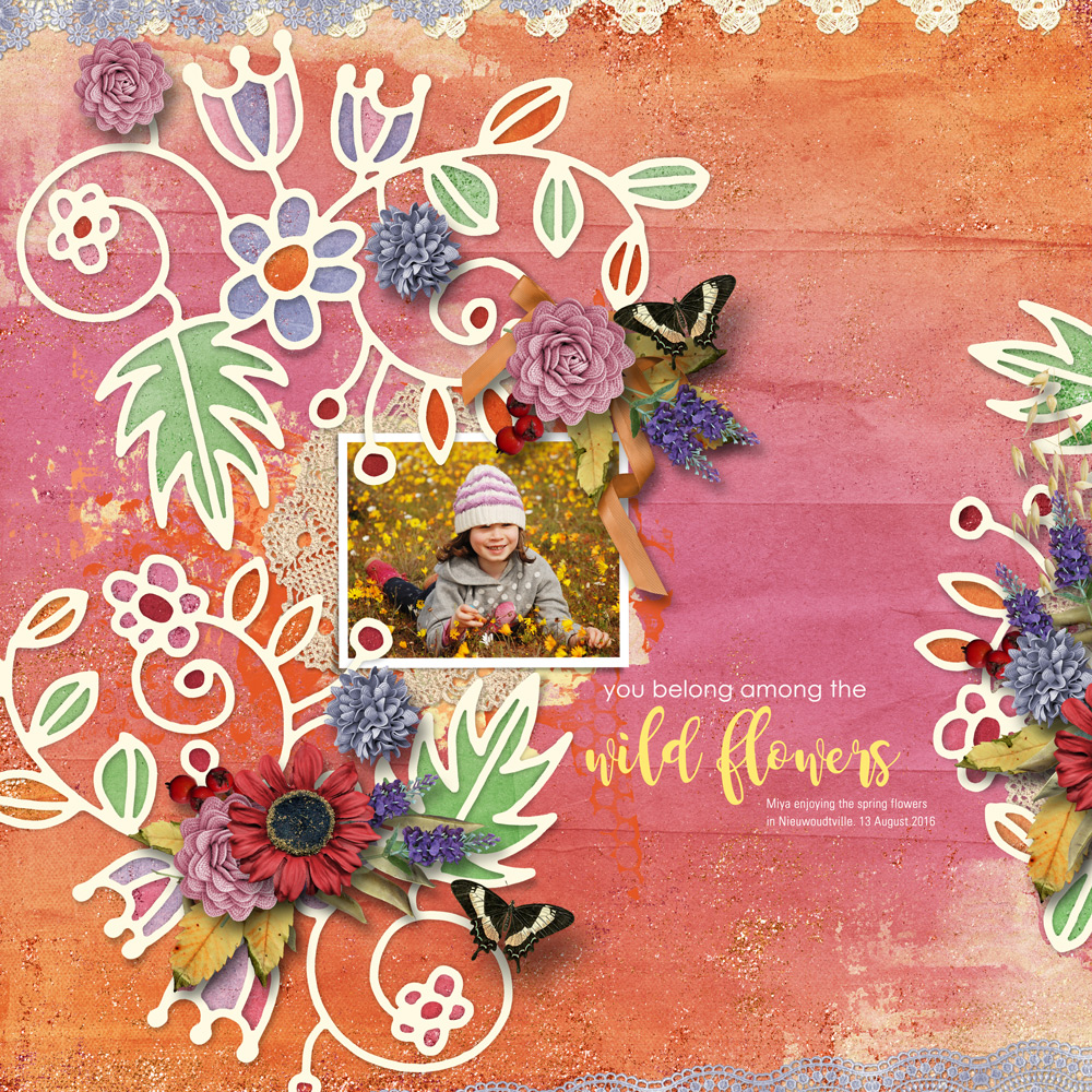 harvest-sunset-aimee-hsa-harvest-sunset-2-a